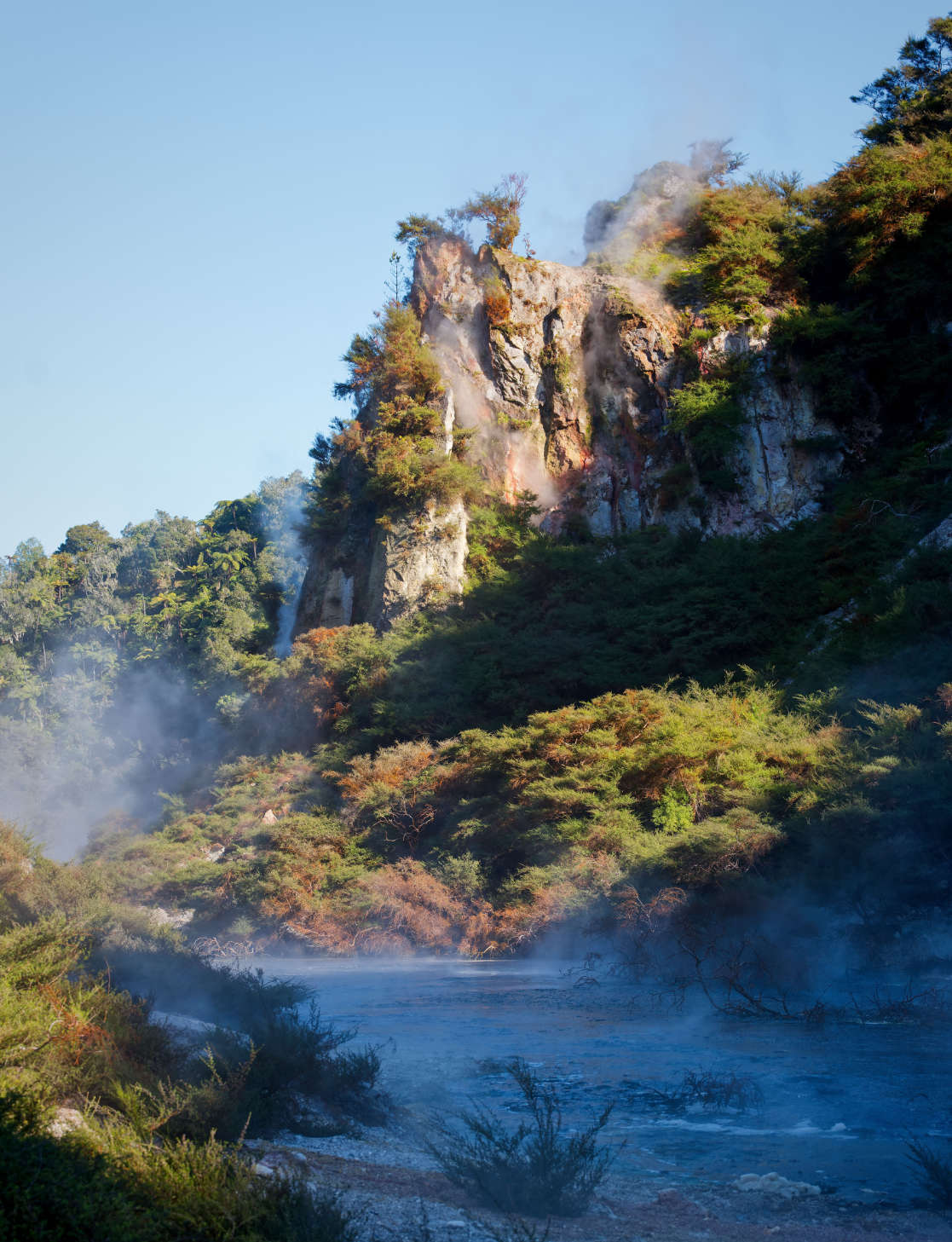 Waimangu Volcanic Valley